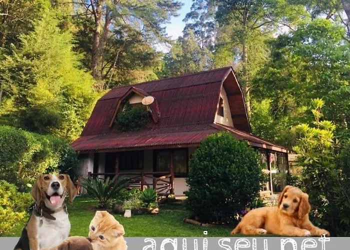 Casa Na Floresta Em Campos Do Jordao