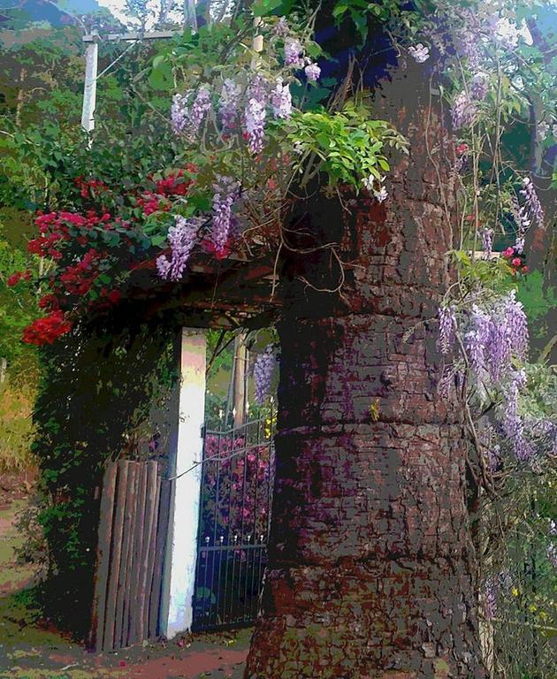 Casa Na Floresta Em Holiday home