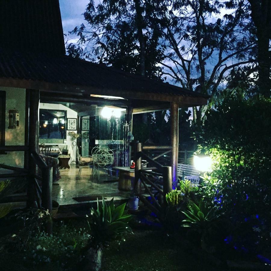 Casa Na Floresta Em