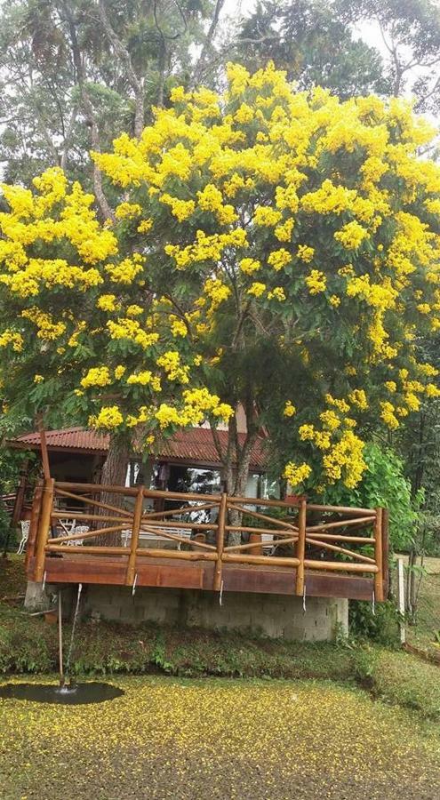 Casa Na Floresta Em * Campos do Jordao