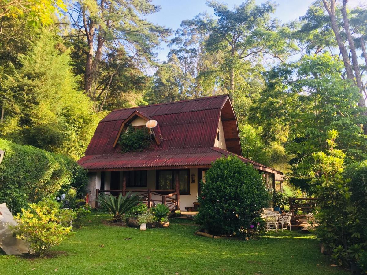 Casa Na Floresta Em Holiday home *